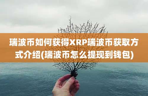 瑞波币如何获得XRP瑞波币获取方式介绍(瑞波币怎么提现到钱包)