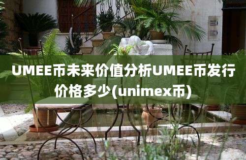 UMEE币未来价值分析UMEE币发行价格多少(unimex币)