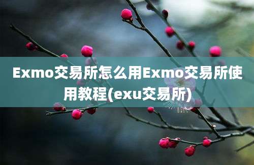 Exmo交易所怎么用Exmo交易所使用教程(exu交易所)