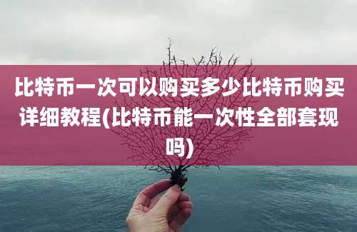 比特币一次可以购买多少比特币购买详细教程(比特币能一次性全部套现吗)