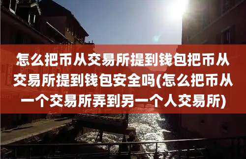 怎么把币从交易所提到钱包把币从交易所提到钱包安全吗(怎么把币从一个交易所弄到另一个人交易所)