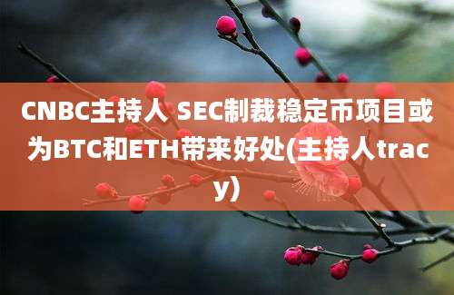 CNBC主持人 SEC制裁稳定币项目或为BTC和ETH带来好处(主持人tracy)