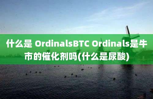 什么是 OrdinalsBTC Ordinals是牛市的催化剂吗(什么是尿酸)