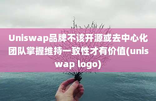 Uniswap品牌不该开源或去中心化团队掌握维持一致性才有价值(uniswap logo)