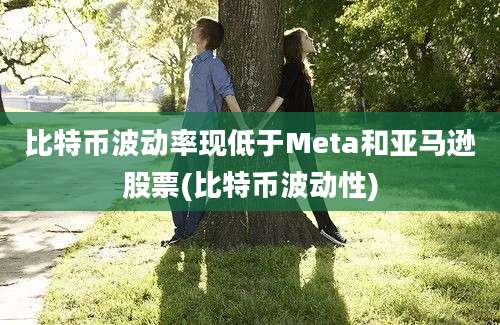 比特币波动率现低于Meta和亚马逊股票(比特币波动性)