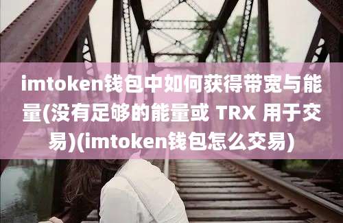 imtoken钱包中如何获得带宽与能量(没有足够的能量或 TRX 用于交易)(imtoken钱包怎么交易)