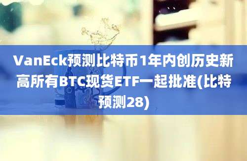 VanEck预测比特币1年内创历史新高所有BTC现货ETF一起批准(比特预测28)