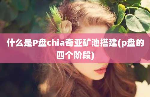 什么是P盘chia奇亚矿池搭建(p盘的四个阶段)