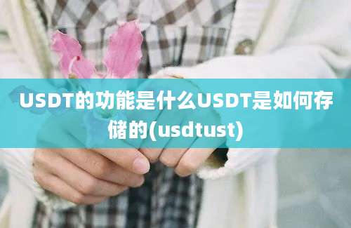 USDT的功能是什么USDT是如何存储的(usdtust)