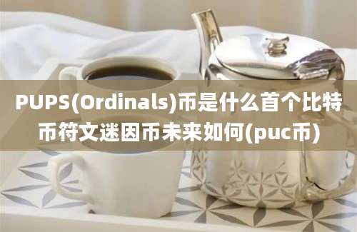 PUPS(Ordinals)币是什么首个比特币符文迷因币未来如何(puc币)