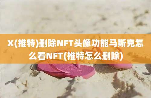 X(推特)删除NFT头像功能马斯克怎么看NFT(推特怎么删除)