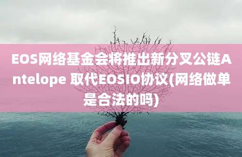 EOS网络基金会将推出新分叉公链Antelope 取代EOSIO协议(网络做单是合法的吗)