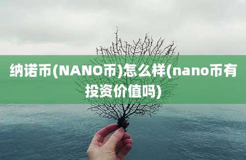 纳诺币(NANO币)怎么样(nano币有投资价值吗)