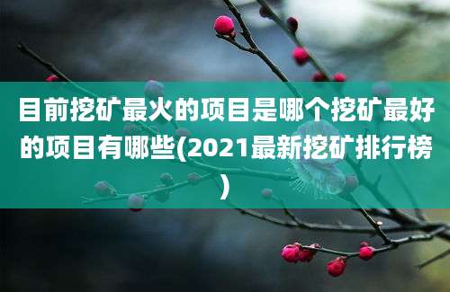 目前挖矿最火的项目是哪个挖矿最好的项目有哪些(2021最新挖矿排行榜)