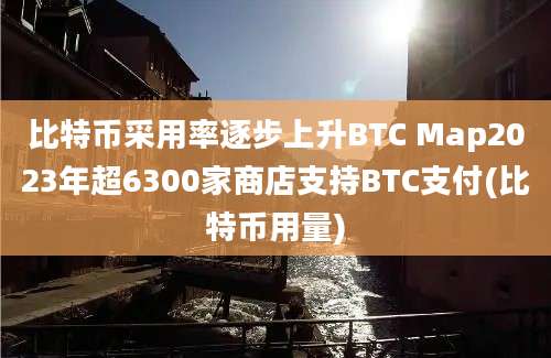 比特币采用率逐步上升BTC Map2023年超6300家商店支持BTC支付(比特币用量)