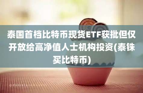 泰国首档比特币现货ETF获批但仅开放给高净值人士机构投资(泰铢买比特币)