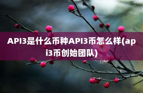 API3是什么币种API3币怎么样(api3币创始团队)