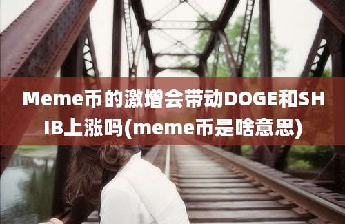 Meme币的激增会带动DOGE和SHIB上涨吗(meme币是啥意思)