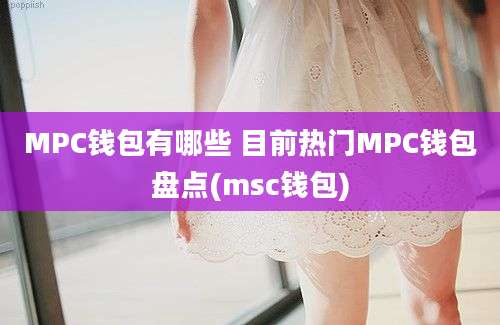 MPC钱包有哪些 目前热门MPC钱包盘点(msc钱包)