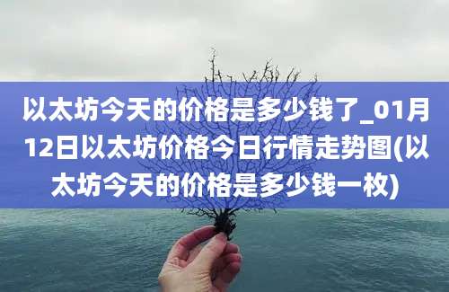 以太坊今天的价格是多少钱了_01月12日以太坊价格今日行情走势图(以太坊今天的价格是多少钱一枚)