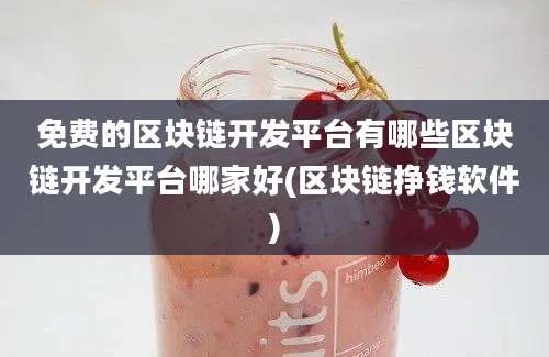 免费的区块链开发平台有哪些区块链开发平台哪家好(区块链挣钱软件)