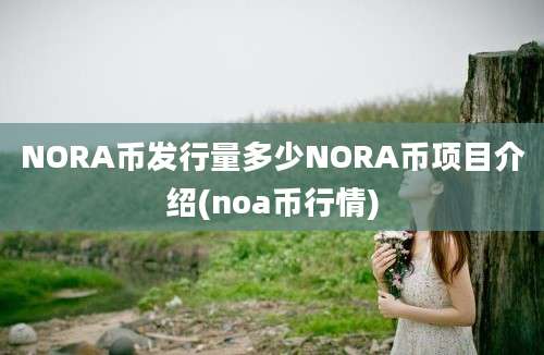 NORA币发行量多少NORA币项目介绍(noa币行情)