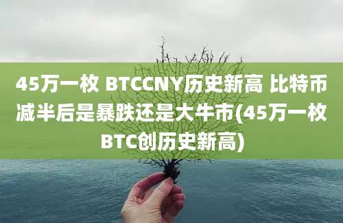 45万一枚 BTCCNY历史新高 比特币减半后是暴跌还是大牛市(45万一枚BTC创历史新高)