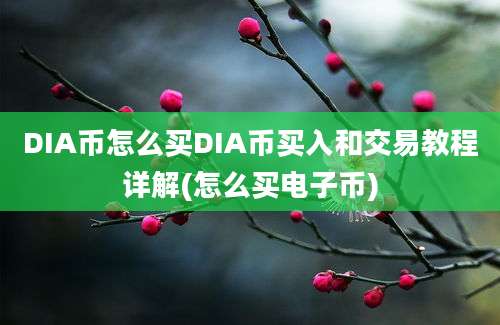 DIA币怎么买DIA币买入和交易教程详解(怎么买电子币)