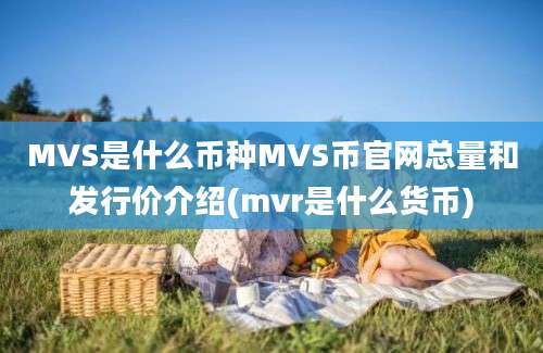 MVS是什么币种MVS币官网总量和发行价介绍(mvr是什么货币)