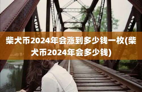 柴犬币2024年会涨到多少钱一枚(柴犬币2024年会多少钱)