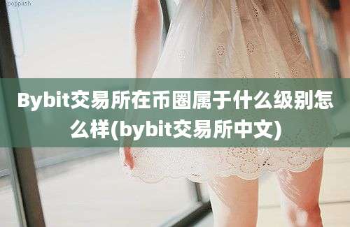 Bybit交易所在币圈属于什么级别怎么样(bybit交易所中文)