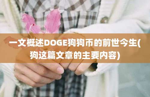 一文概述DOGE狗狗币的前世今生(狗这篇文章的主要内容)