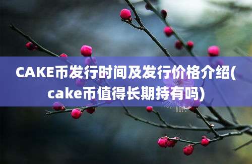 CAKE币发行时间及发行价格介绍(cake币值得长期持有吗)