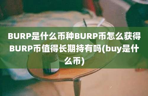 BURP是什么币种BURP币怎么获得BURP币值得长期持有吗(buy是什么币)