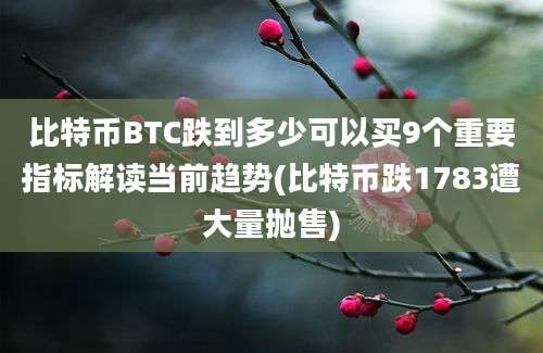 比特币BTC跌到多少可以买9个重要指标解读当前趋势(比特币跌1783遭大量抛售)