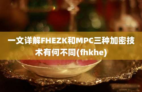 一文详解FHEZK和MPC三种加密技术有何不同(fhkhe)