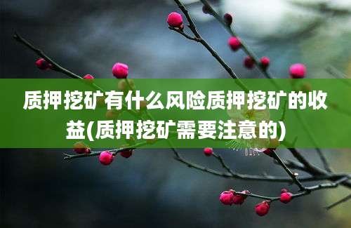 质押挖矿有什么风险质押挖矿的收益(质押挖矿需要注意的)