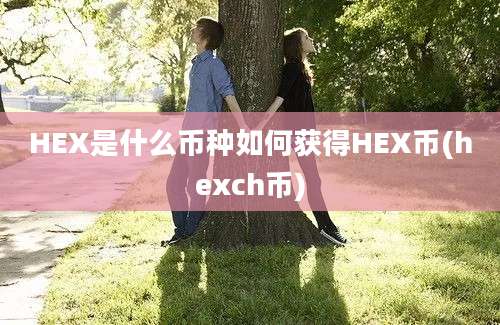 HEX是什么币种如何获得HEX币(hexch币)