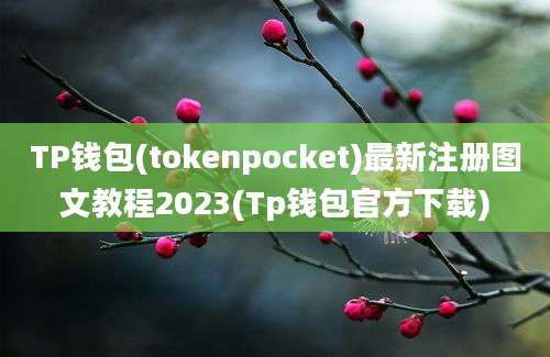 TP钱包(tokenpocket)最新注册图文教程2023(Tp钱包官方下载)