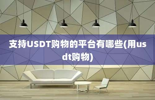 支持USDT购物的平台有哪些(用usdt购物)