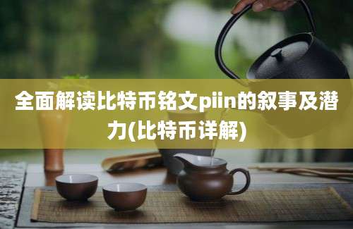 全面解读比特币铭文piin的叙事及潜力(比特币详解)