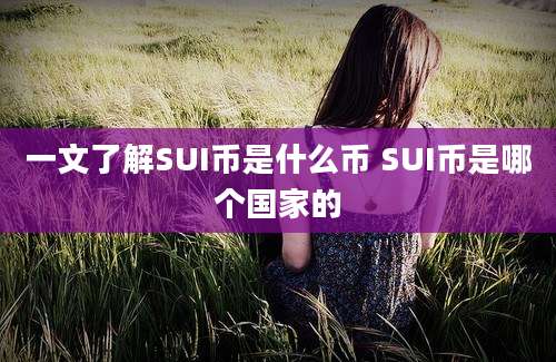 一文了解SUI币是什么币 SUI币是哪个国家的