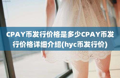 CPAY币发行价格是多少CPAY币发行价格详细介绍(hyc币发行价)