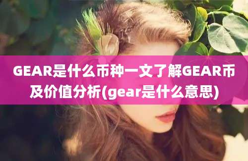 GEAR是什么币种一文了解GEAR币及价值分析(gear是什么意思)