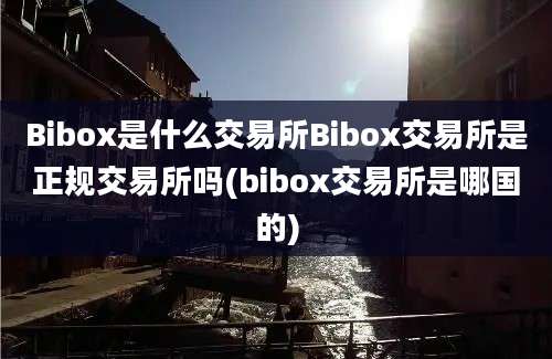 Bibox是什么交易所Bibox交易所是正规交易所吗(bibox交易所是哪国的)