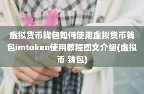 虚拟货币钱包如何使用虚拟货币钱包imtoken使用教程图文介绍(虚拟币 钱包)