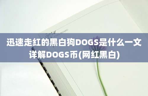 迅速走红的黑白狗DOGS是什么一文详解DOGS币(网红黑白)