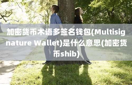 加密货币术语多签名钱包(Multisignature Wallet)是什么意思(加密货币shib)