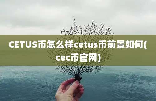 CETUS币怎么样cetus币前景如何(cec币官网)