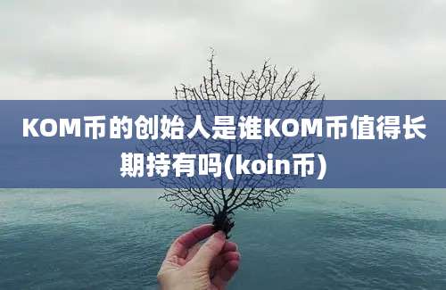 KOM币的创始人是谁KOM币值得长期持有吗(koin币)